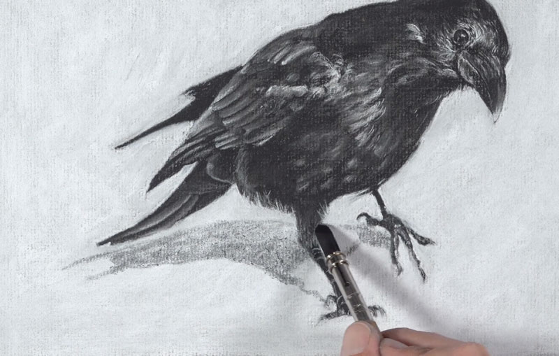 Charcoal Drawing Lesson – Raven
